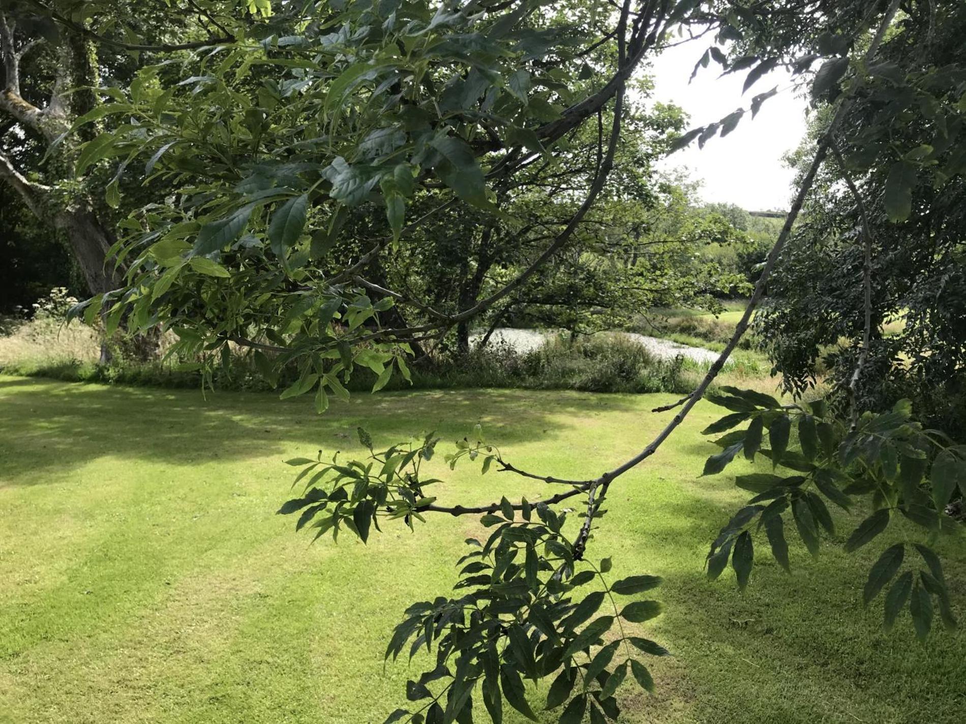Fern Cottage - Luxurious 1 Bedroom - Blossom Farm Johnston Εξωτερικό φωτογραφία